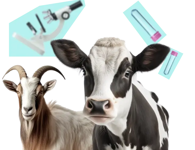 veterinary laboratory