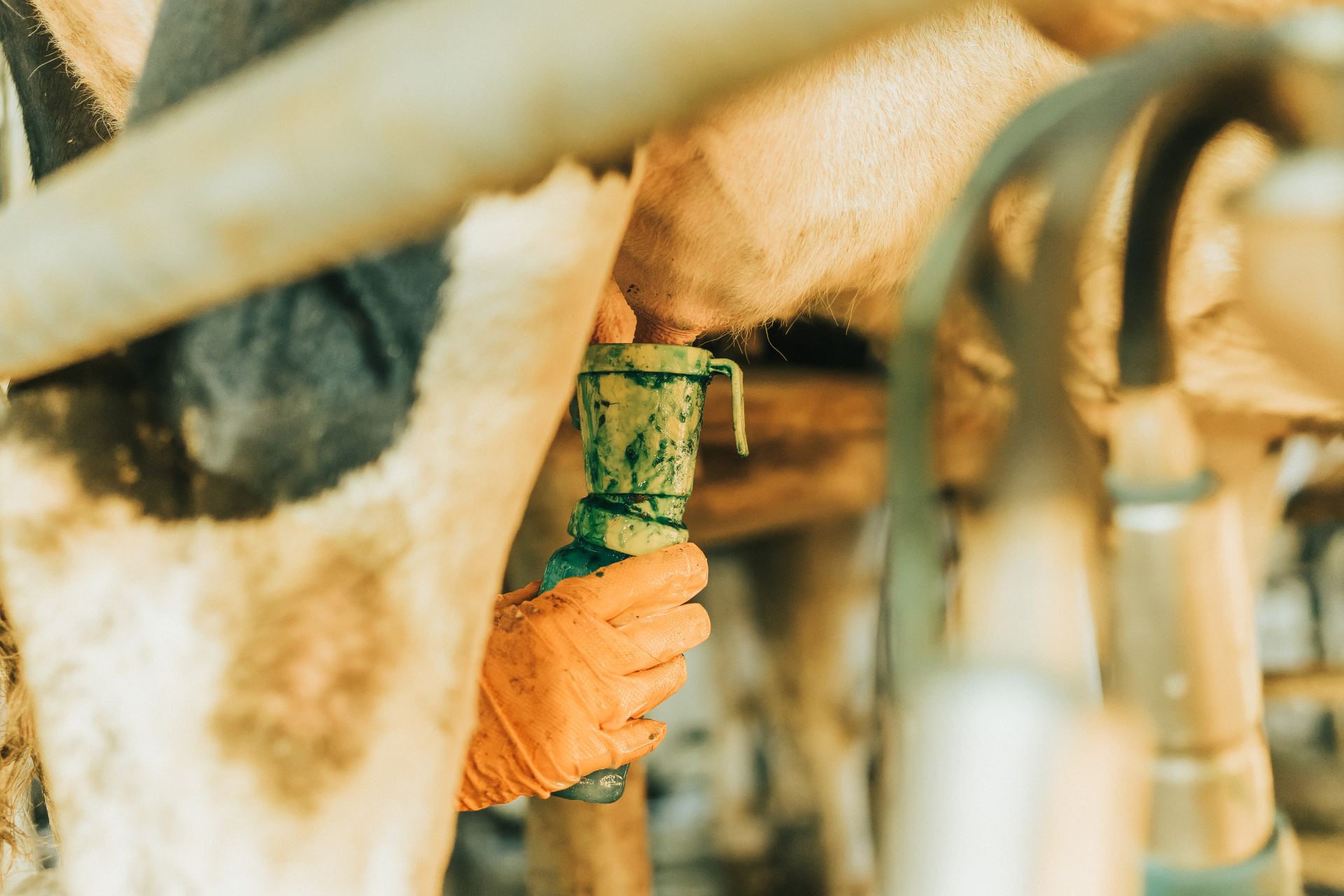 AdobeStock_482954850.jpeg AdobeStock_482954850.jpeg
